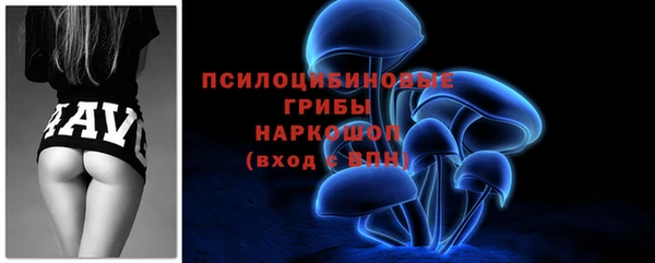 гидра Баксан