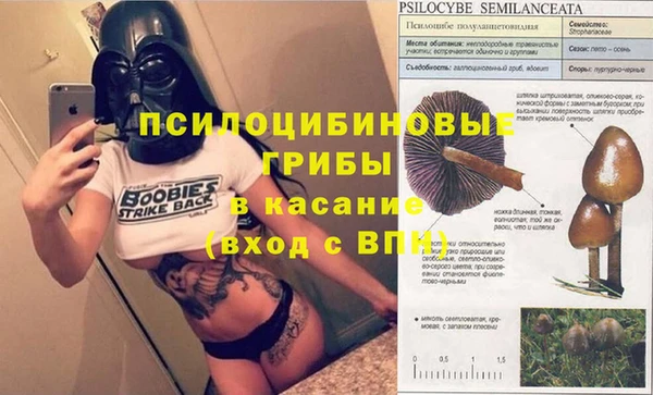 гидра Баксан